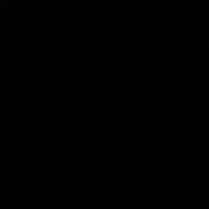 Meet your Posher, Leen